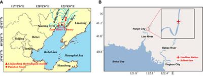 Field survey and analysis of water flux and salinity gradients considering the effects of sea ice coverage and rubber dam: a case study of the Liao River Estuary, China